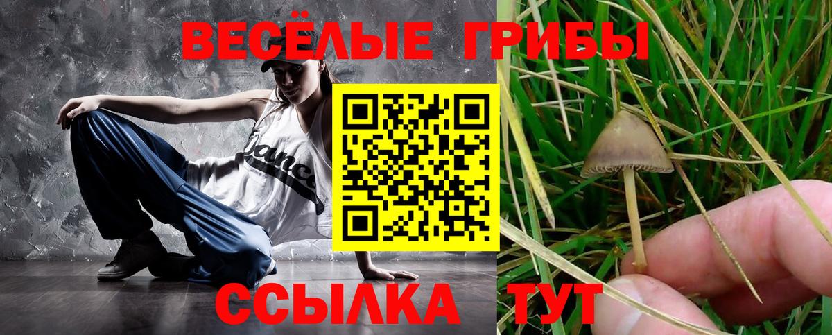 Галлюциногенные грибы мицелий Волжский